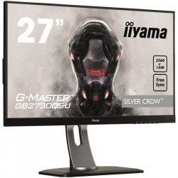 Ecran PC Gamer - IIYAMA...