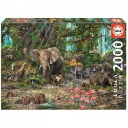 EDUCA Puzzle 2000 Pieces -...