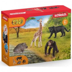SCHLEICH - Kit de base Wild...