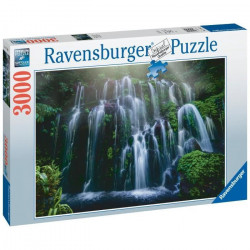 Puzzle 3000 pieces -...