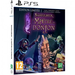 Le Maître du Donjon de...