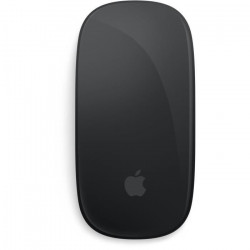 Magic Mouse - Noir...