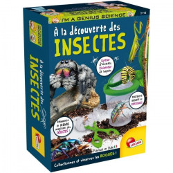 Découverte des insectes -...
