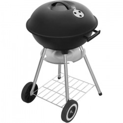 Barbecue au charbon de bois...