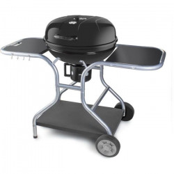 Barbecue au charbon de bois...