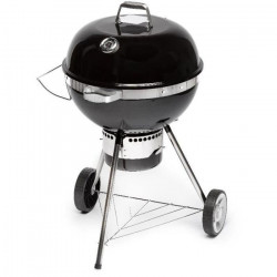 Barbecue au charbon de bois...