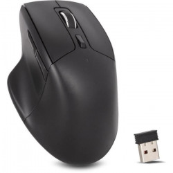 Souris silencieuse sans fil...