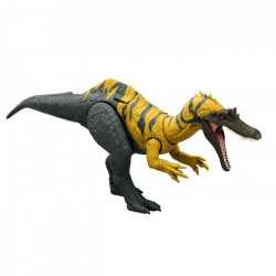 CERATOSUCHOPS SONORE