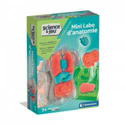 Mini Labo d'anatomie...