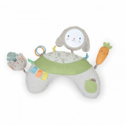INGENUITY Sylvi Baby Play...