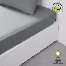Drap housse - TODAY - 160 x...