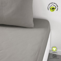 Drap housse - TODAY - 180 x...
