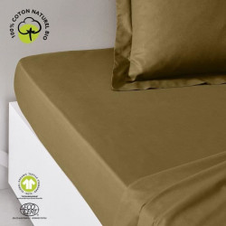 Drap housse - TODAY - 180 x...