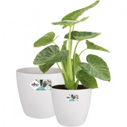 ELHO Lot de 2 pots de fleur...