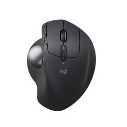 Souris ergonomique - sans...