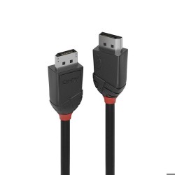 LINDY Câble DisplayPort 1.2...