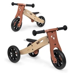 Draisienne évolutive -...