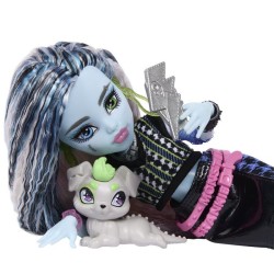 Frankie - Monster High - JHK31