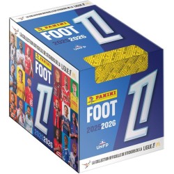Boite - PANINI - Foot FR...