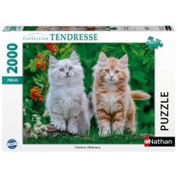 Nathan - Puzzle 2000 pieces...