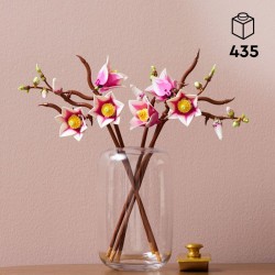 Branches de magnolia