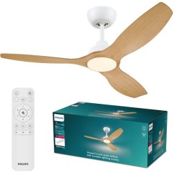 Ventilateur de plafond -...