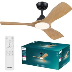 Ventilateur de plafond -...