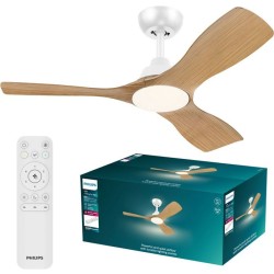 Ventilateur de plafond -...