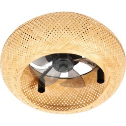 Ventilateur - Plafonnier -...