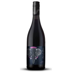 Stellenbosch Vineyards Star...