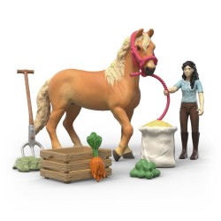 Figurine Kit de soins Emily...