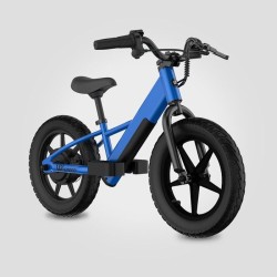 Trottinette électrique...