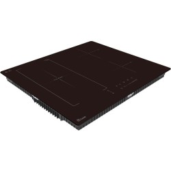 Plaque induction - TRIOMPH...