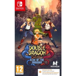 Double Dragon Gaiden Rise...