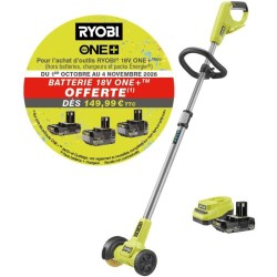 Nettoyeur de joints - RYOBI...